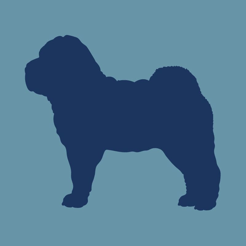 Chinese Shar-Pei - Embroidered Visor