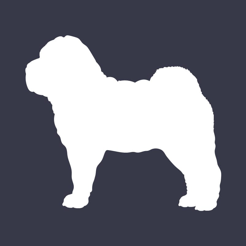 Chinese Shar-Pei  Embroidered AKC Women's Polo