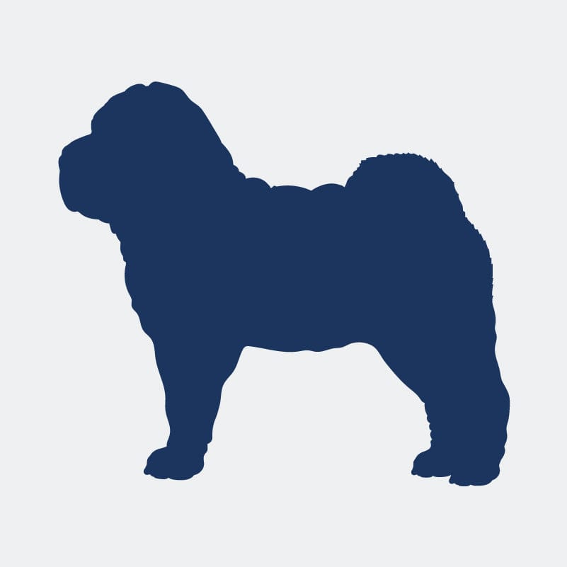 Chinese Shar-Pei  Embroidered AKC Women's Polo