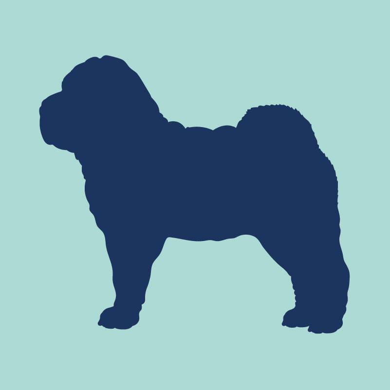 Chinese Shar-Pei Embroidered AKC Quarter Zip