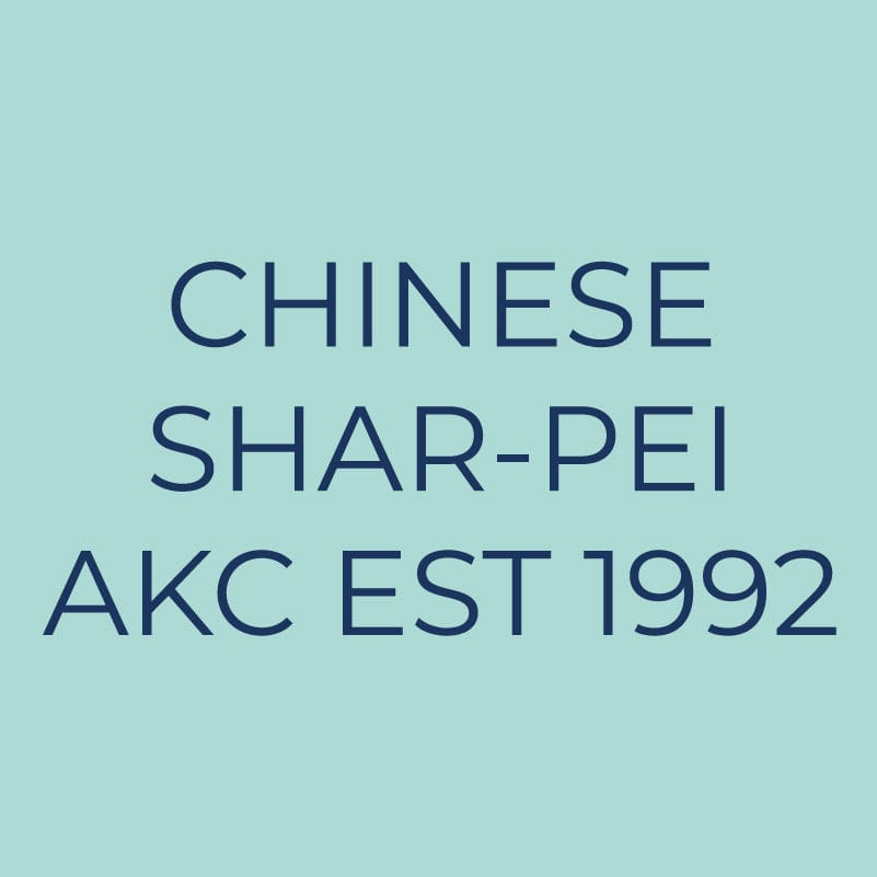 Chinese Shar-Pei Embroidered AKC Quarter Zip