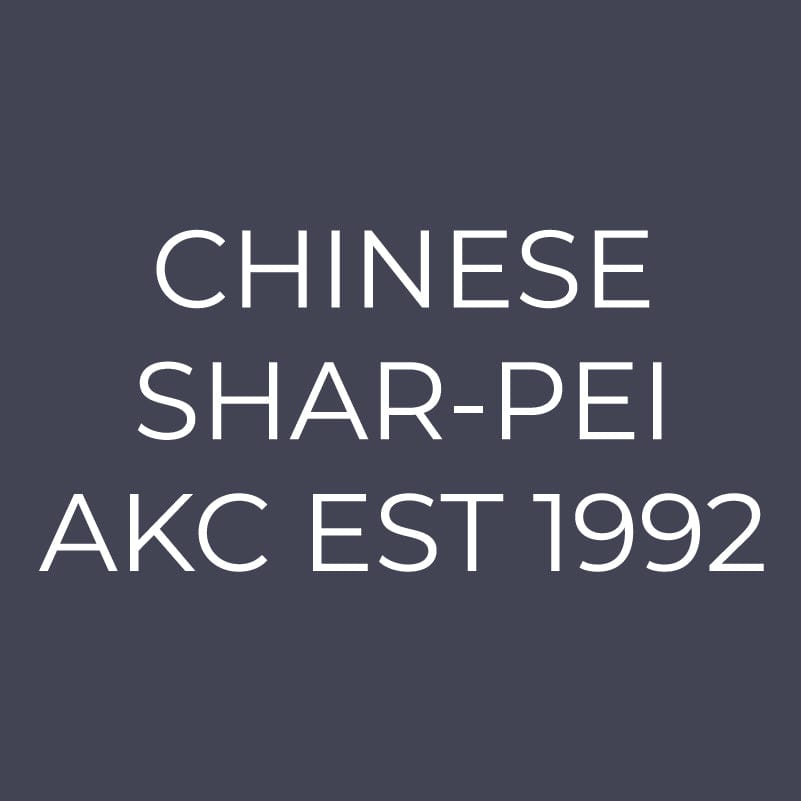 Chinese Shar-Pei Embroidered AKC Quarter Zip