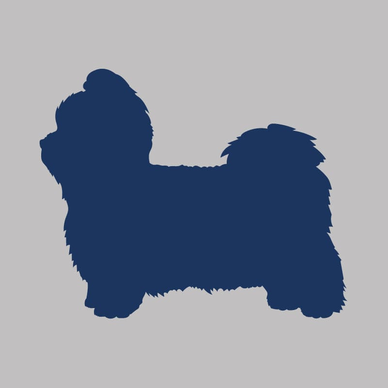 Shih Tzu - Infant Onesie