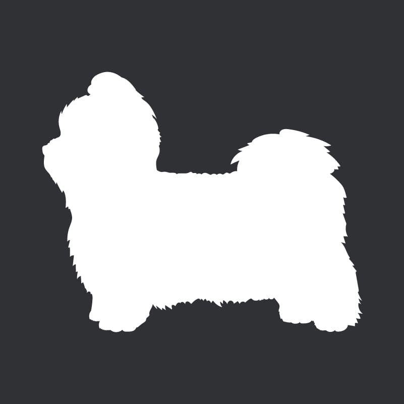 Shih Tzu Embroidered AKC Men's Polo