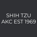 Shih Tzu Embroidered AKC Men's Polo