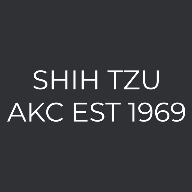 Shih Tzu Embroidered AKC Men's Polo