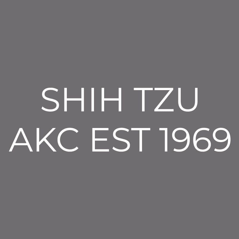 Shih Tzu Embroidered AKC Men's Polo