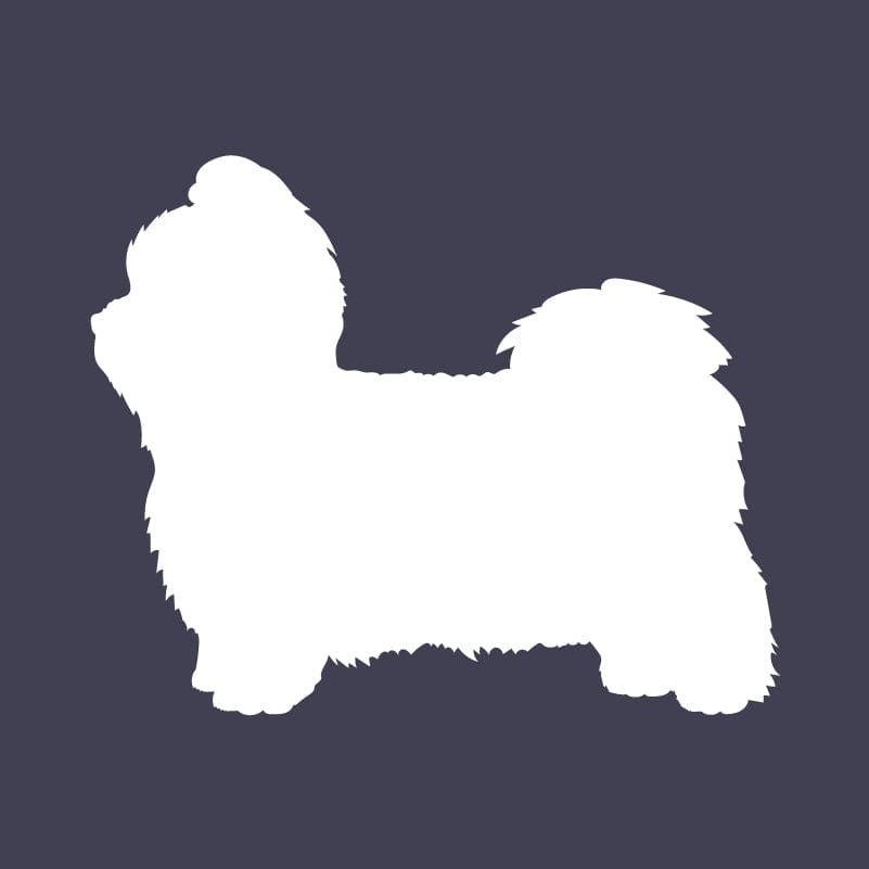 Shih Tzu Embroidered AKC Men's Polo