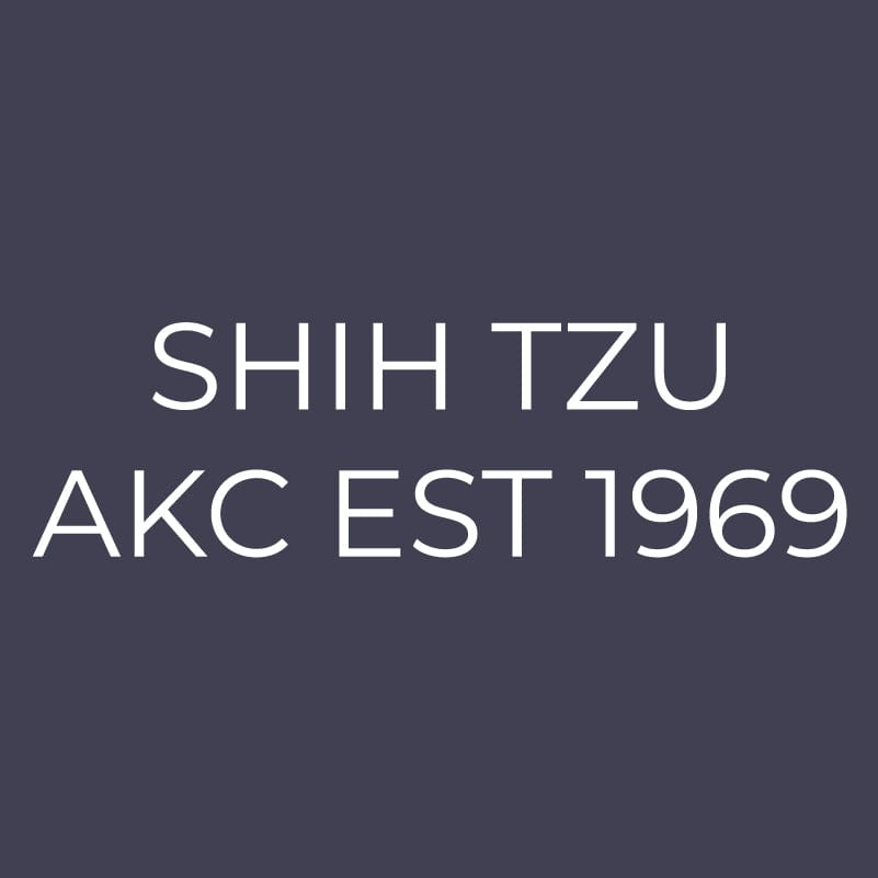 Shih Tzu Embroidered AKC Men's Polo