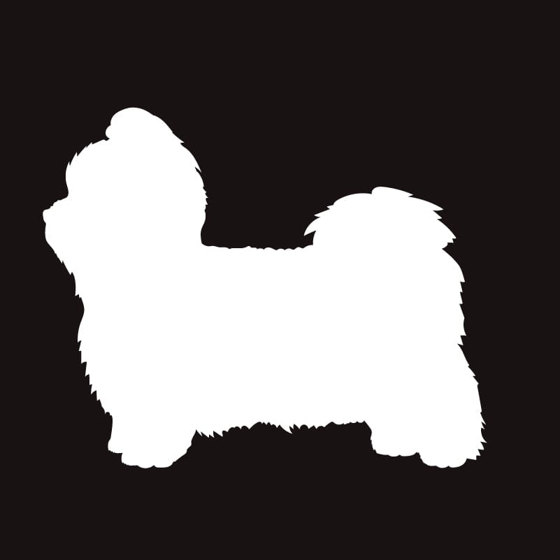 Shih Tzu AKC Embroidered Visor