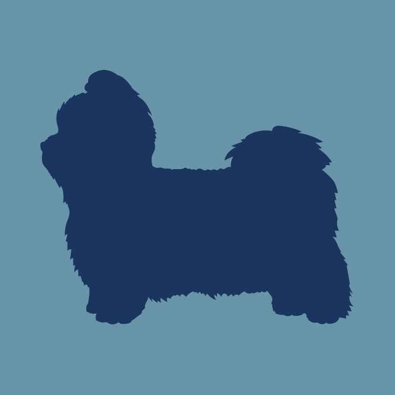 Shih Tzu - Embroidered Visor