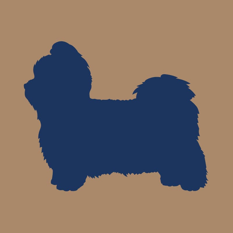 Shih Tzu AKC Embroidered Visor