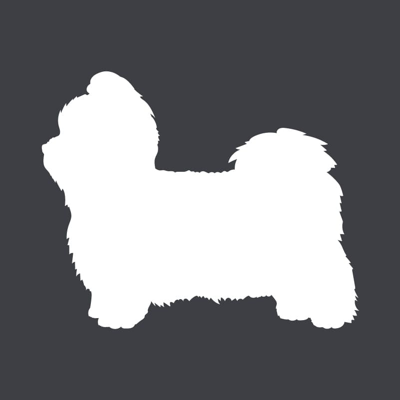 Shih Tzu  Embroidered AKC Women's Polo