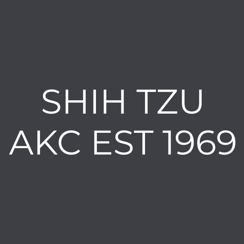 Shih Tzu  Embroidered AKC Women's Polo