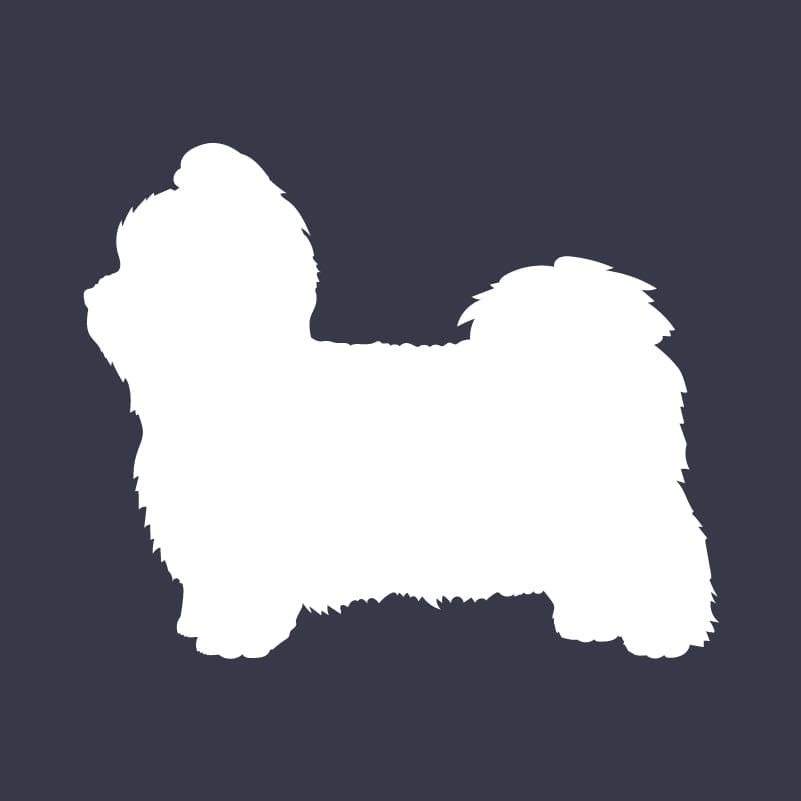 Shih Tzu  Embroidered AKC Women's Polo