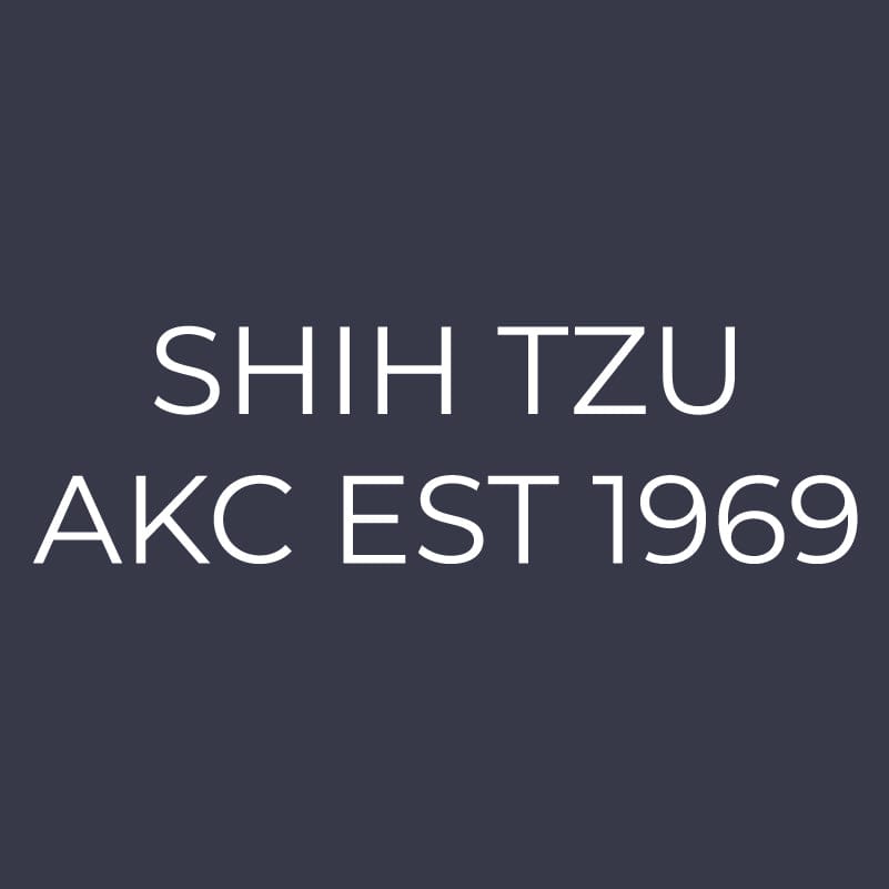 Shih Tzu  Embroidered AKC Women's Polo