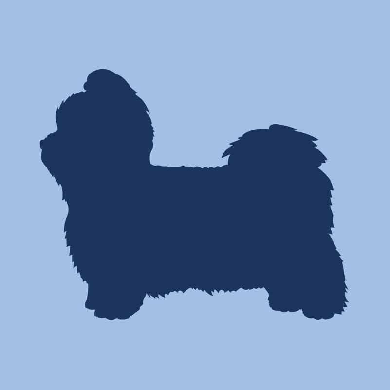 Shih Tzu Children's Full Zip Sweatshirt