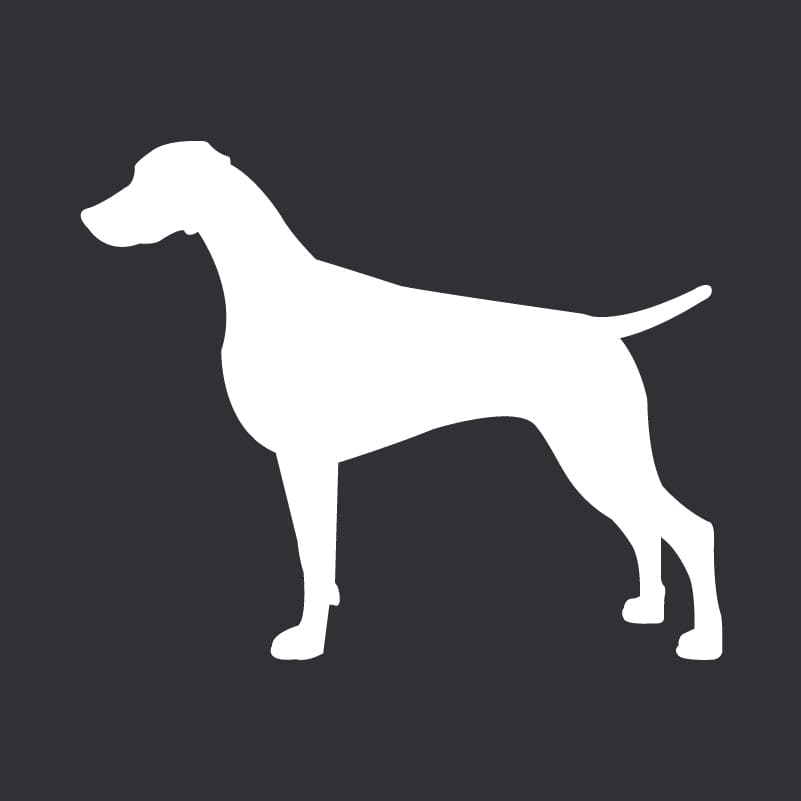 Weimaraner  Embroidered AKC Men's Polo