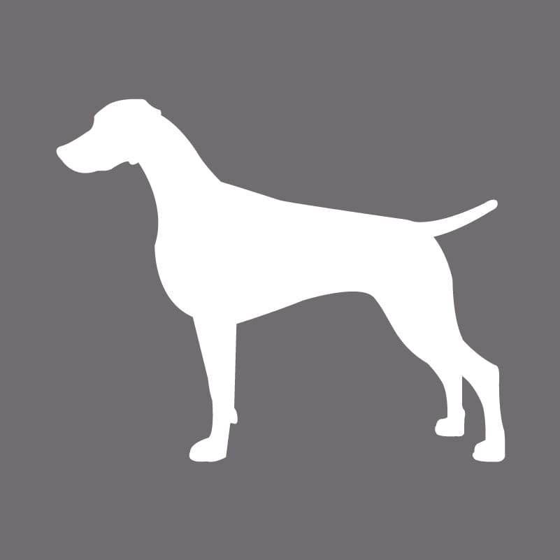 Weimaraner  Embroidered AKC Men's Polo