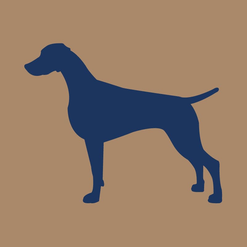 Weimaraner AKC Embroidered Visor