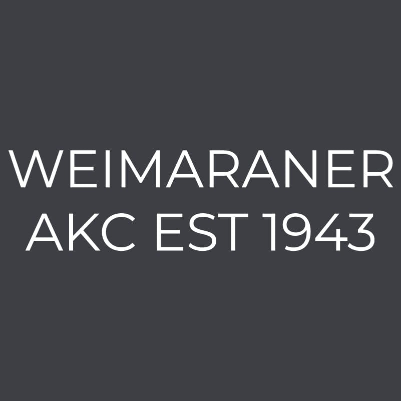 Weimaraner  Embroidered AKC Women's Polo