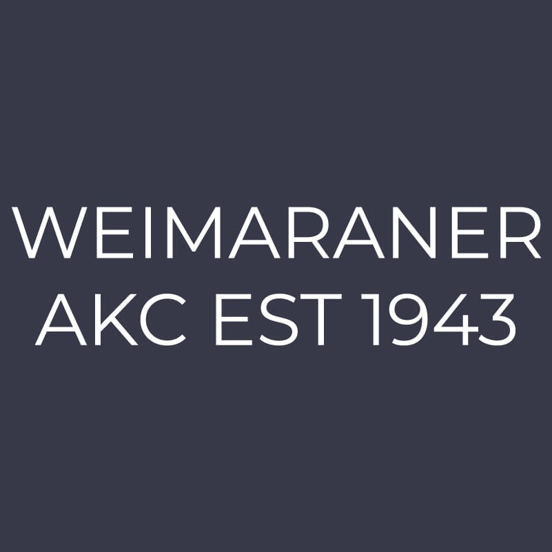 Weimaraner  Embroidered AKC Women's Polo