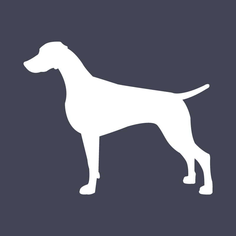 Weimaraner Embroidered AKC Quarter Zip