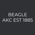 Beagle Embroidered AKC Men's Polo
