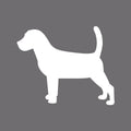 Beagle Embroidered AKC Men's Polo