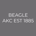 Beagle Embroidered AKC Men's Polo