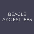 Beagle Embroidered AKC Men's Polo