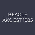 Beagle Embroidered AKC Women's Polo