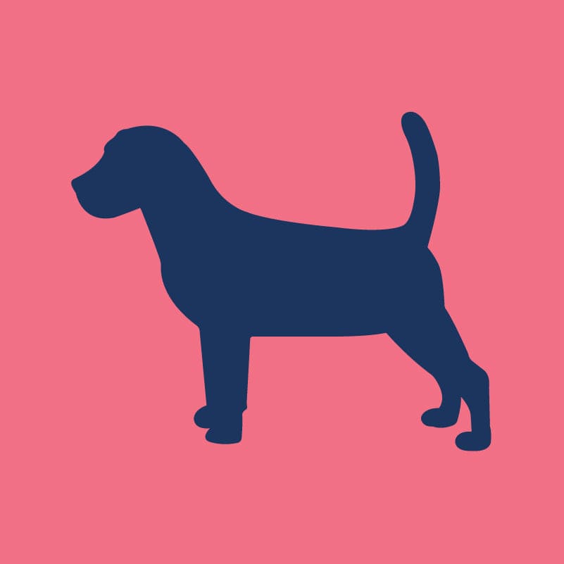 Beagle - Children's Full Zip Sweatshirt