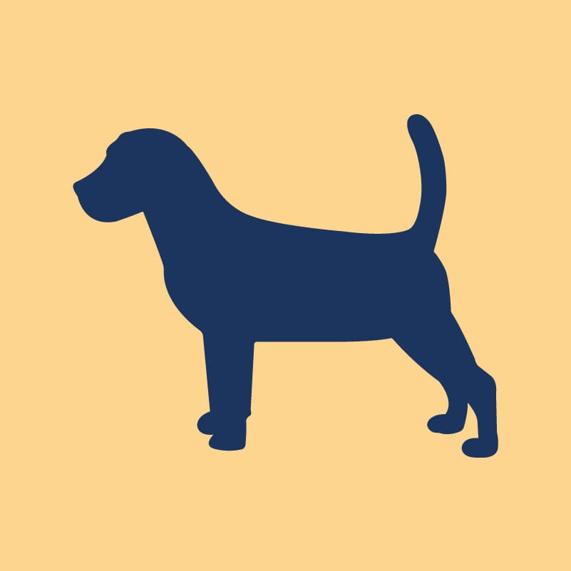 Beagle Embroidered AKC Quarter Zip