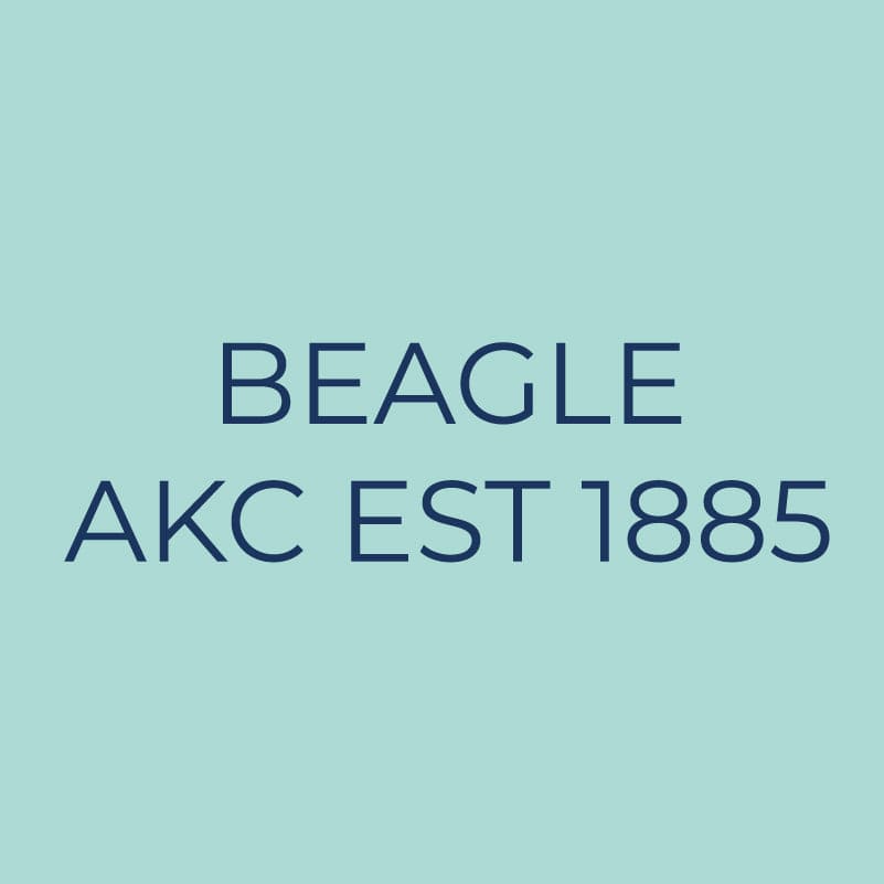 Beagle Embroidered AKC Quarter Zip