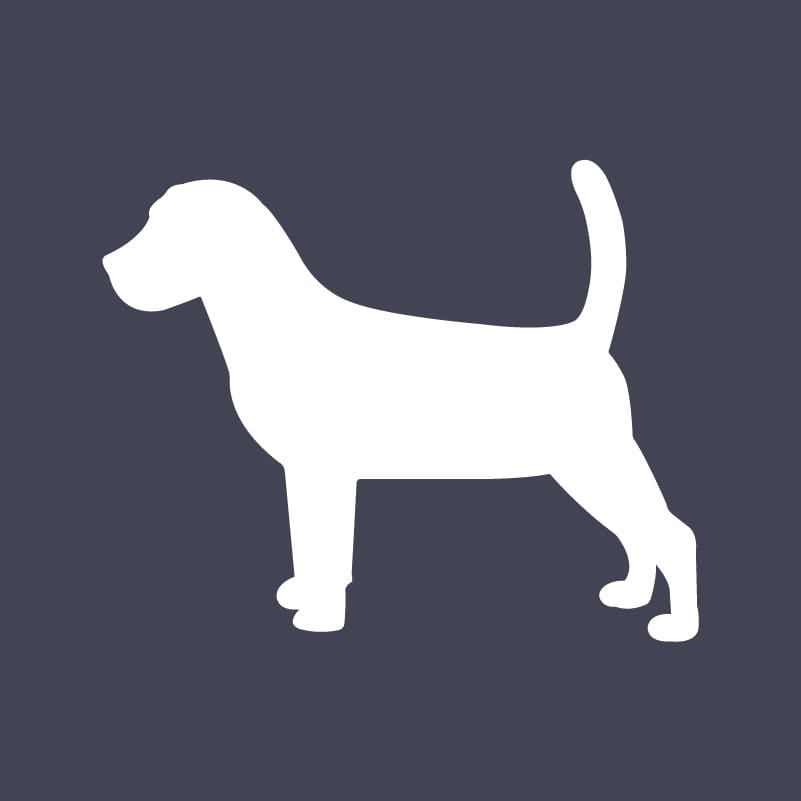 Beagle Embroidered AKC Quarter Zip