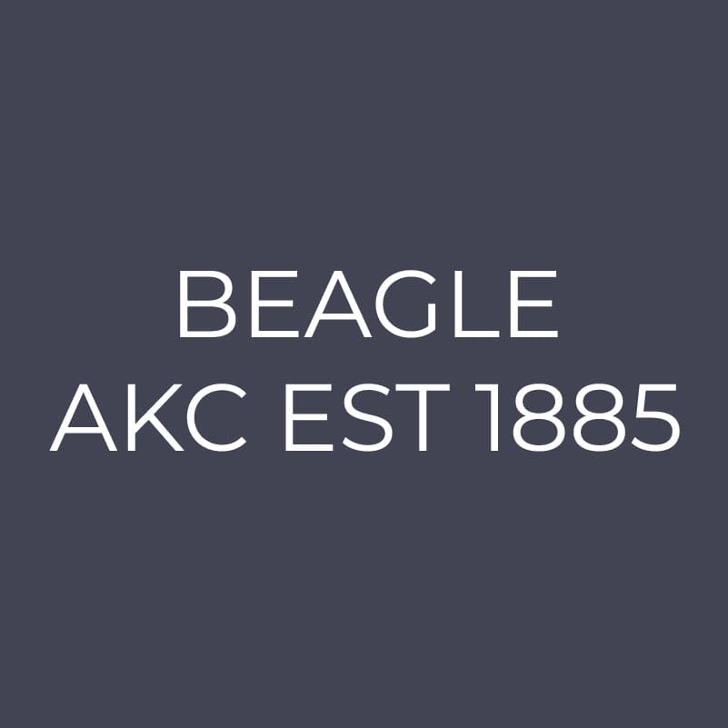 Beagle Embroidered AKC Quarter Zip