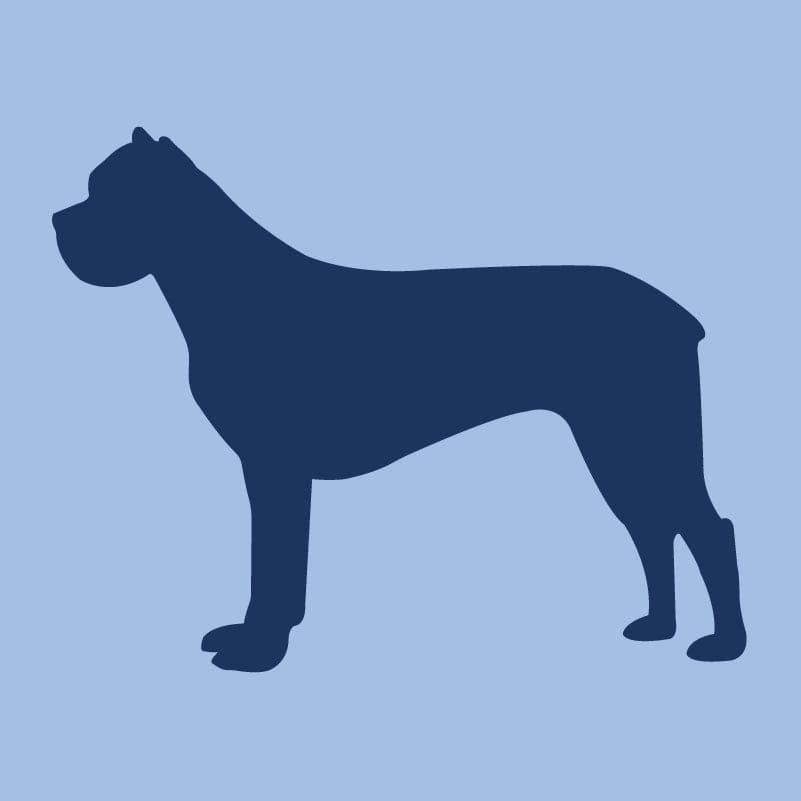 Cane Corso - Children's Full Zip Sweatshirt