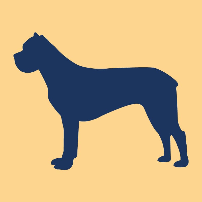 Cane Corso Embroidered AKC Quarter Zip