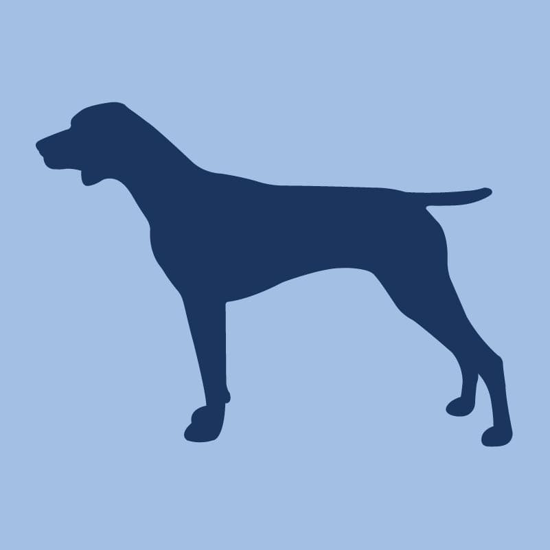 German Shorthaired Pointer - Children's Full Zip Sweatshirt