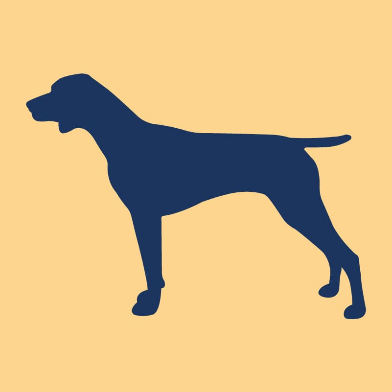 German Shorthaired Pointer Embroidered AKC Quarter Zip