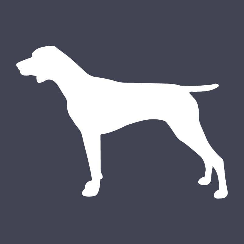 German Shorthaired Pointer Embroidered AKC Quarter Zip