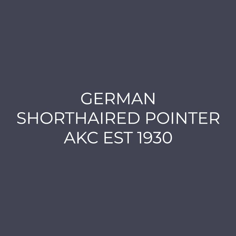 German Shorthaired Pointer Embroidered AKC Quarter Zip