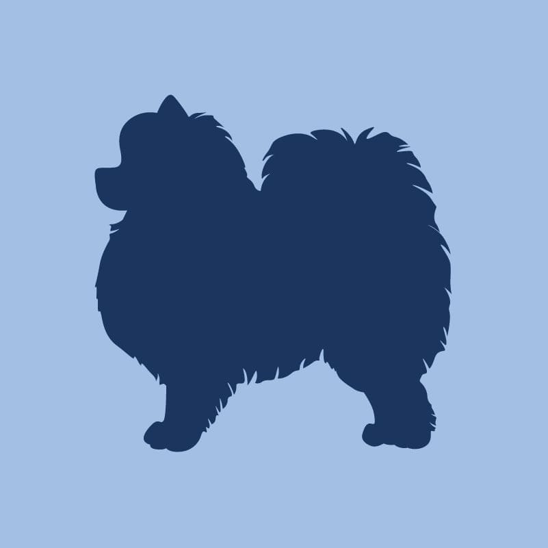 Pomeranian - Children's Full Zip Sweatshirt