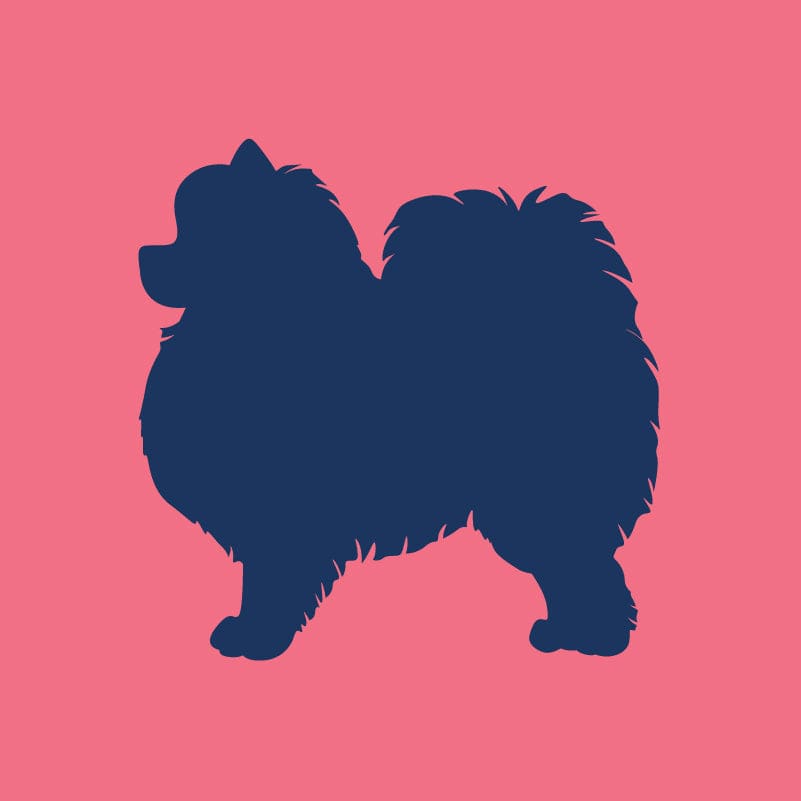 Pomeranian - Children's Full Zip Sweatshirt