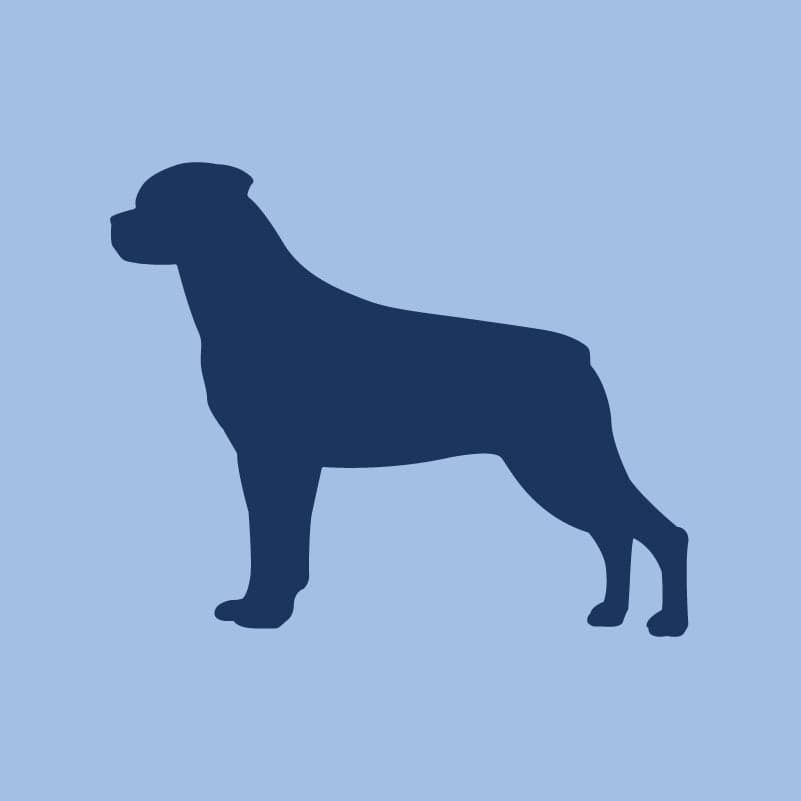 Rottweiler - Children's Full Zip Sweatshirt