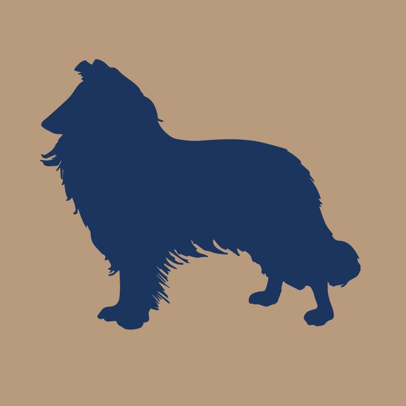 Collie AKC Embroidered Visor
