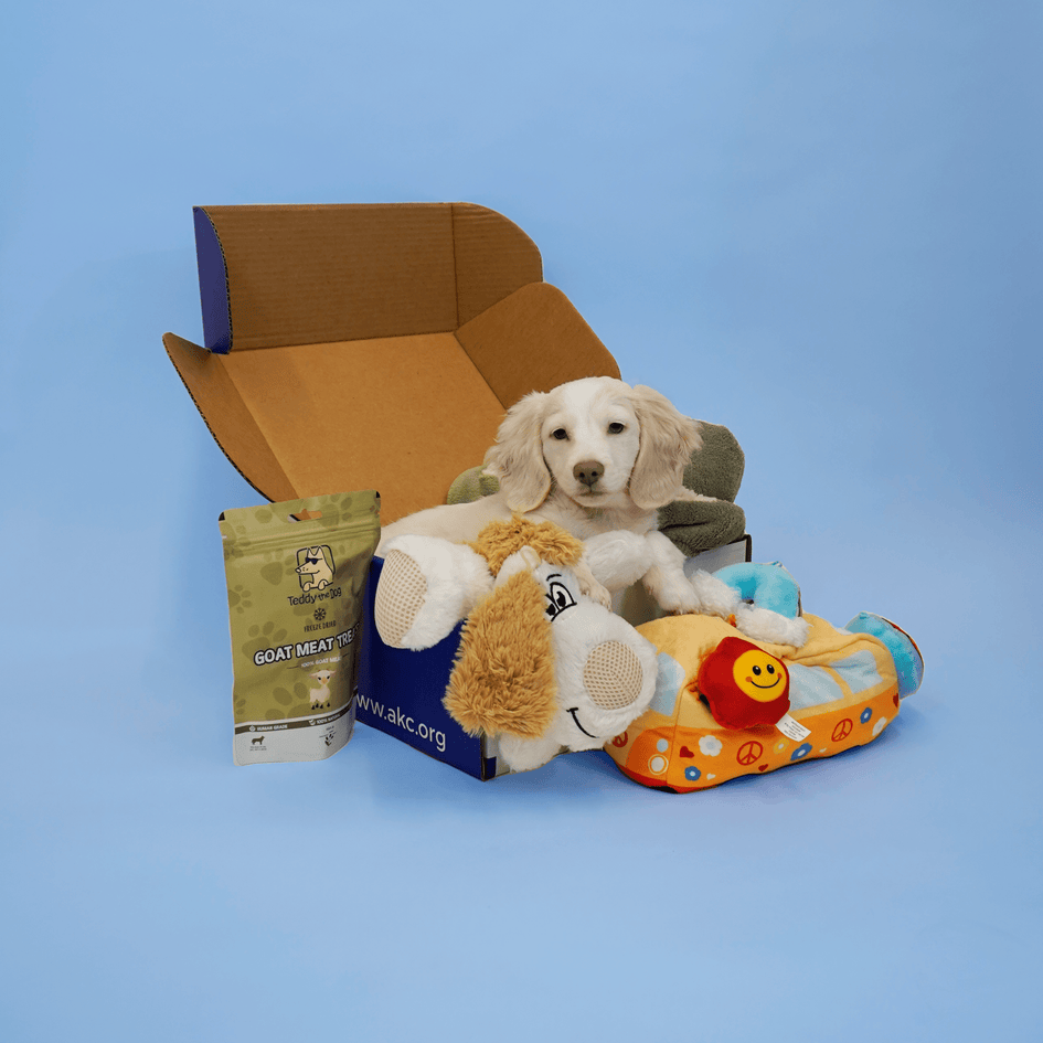 AKC New Personalized Puppy Box