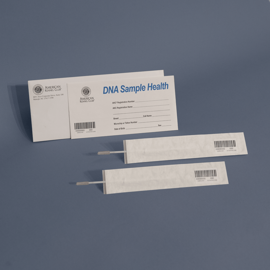 AKC DNA Health Kit AKC Shop - Main Image