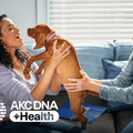 AKC DNA + Health Kit